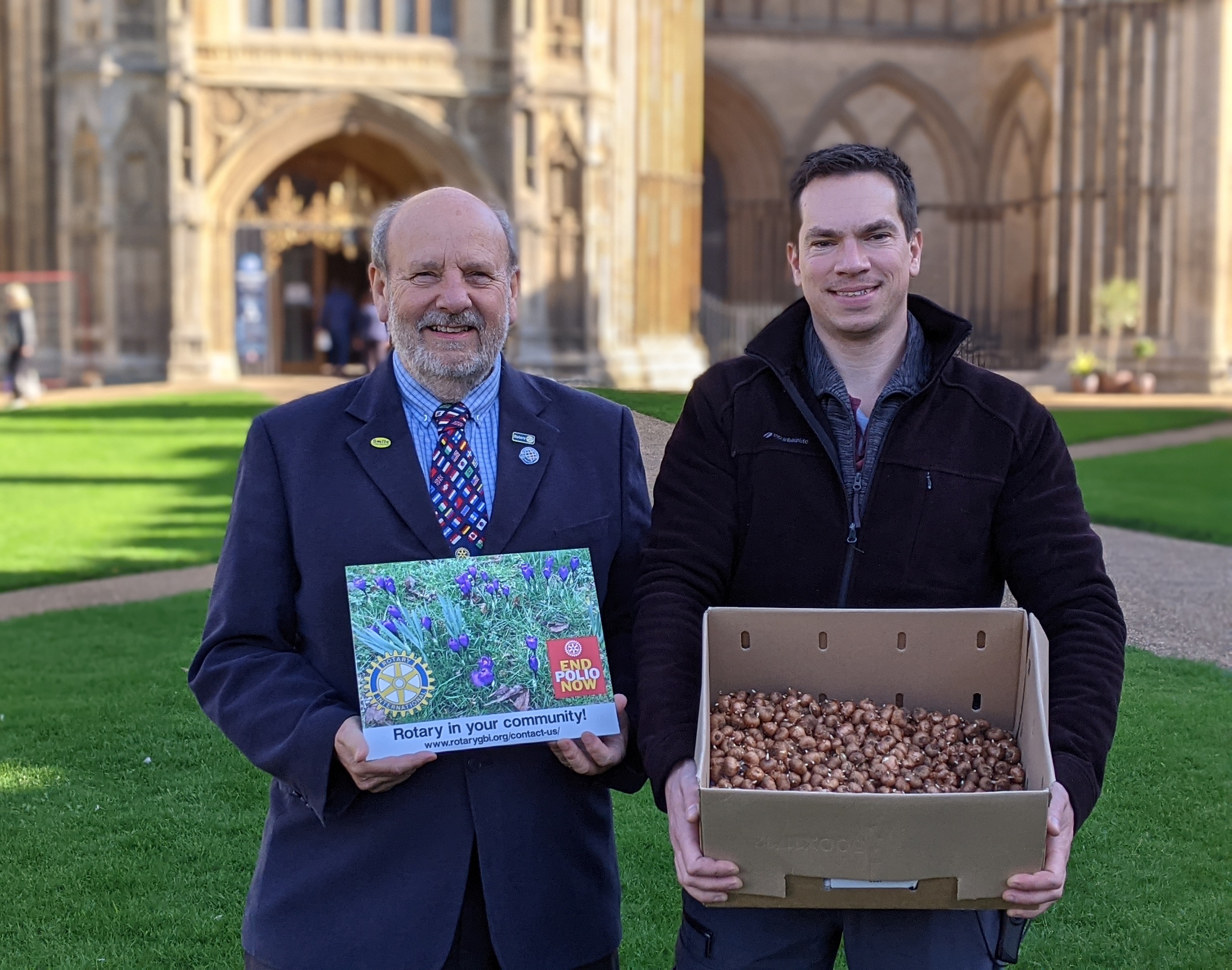 1500 purple crocus bulbs presented by Peterborough Ortons Rotary Club to Peterborough Cathedral